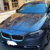 BMW serie 525 xdrive Luxury 2000cc 218cv - immagine 3